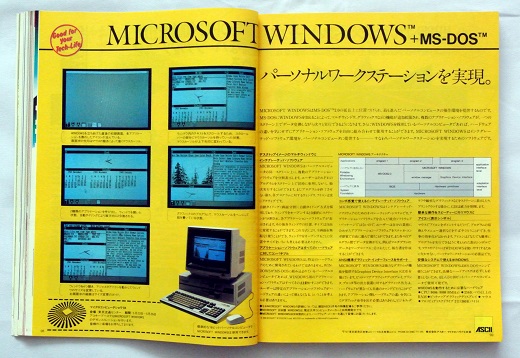 ASCII1984(06)a24Windows_w520.jpg